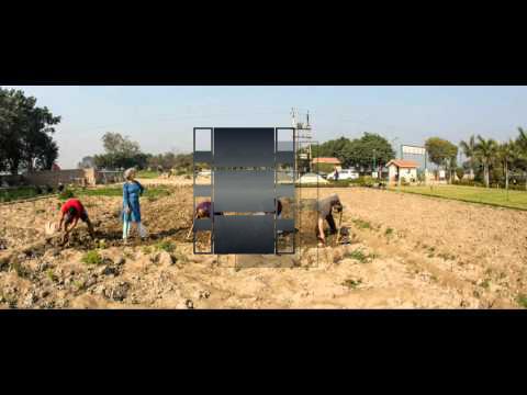 Gardening Team Animation