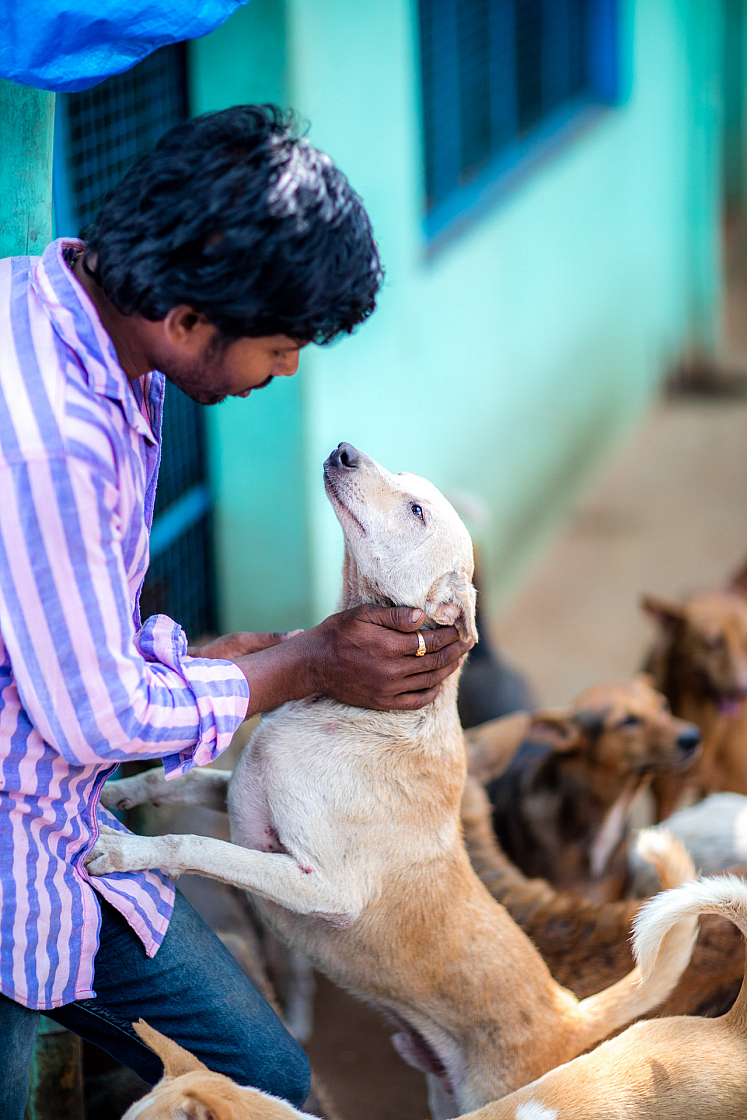 20160126115933 015403