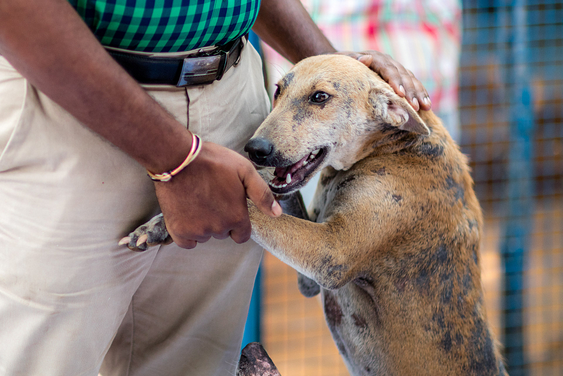 20160126120111 015457