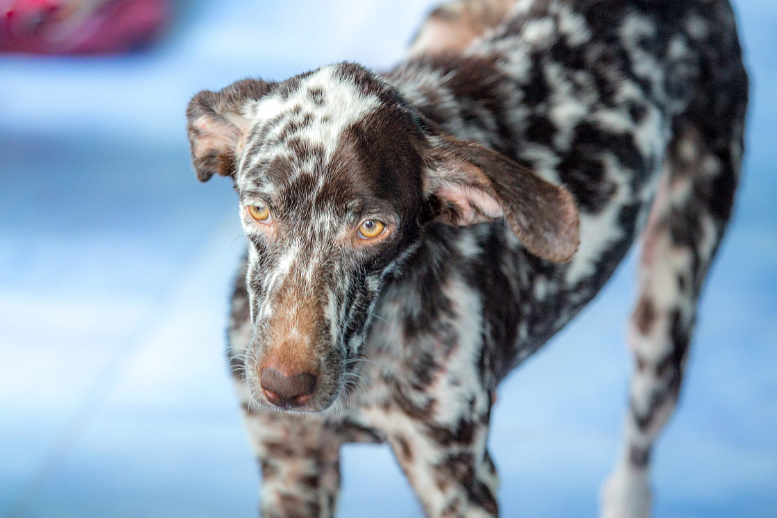 20160126114403 106243