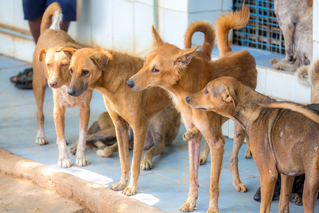 20160126114950 106374