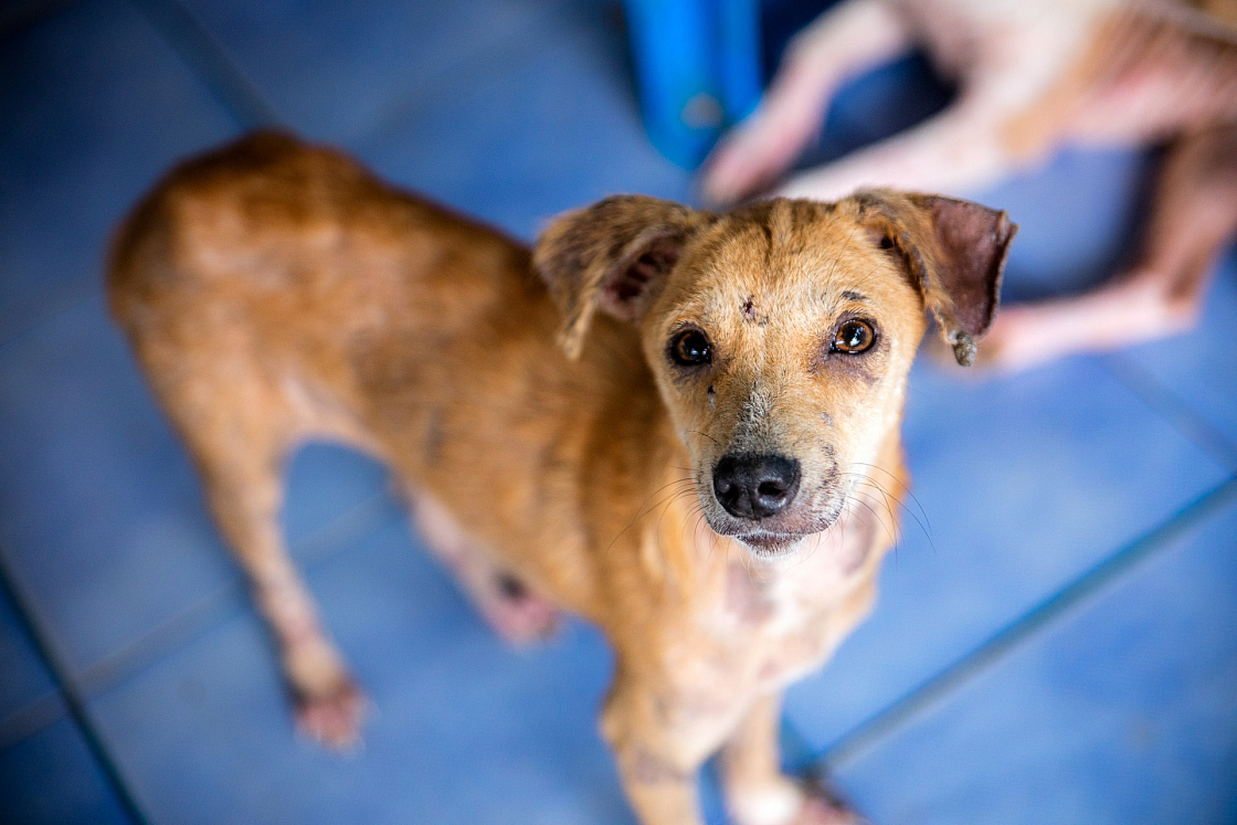 20160126124002 015708