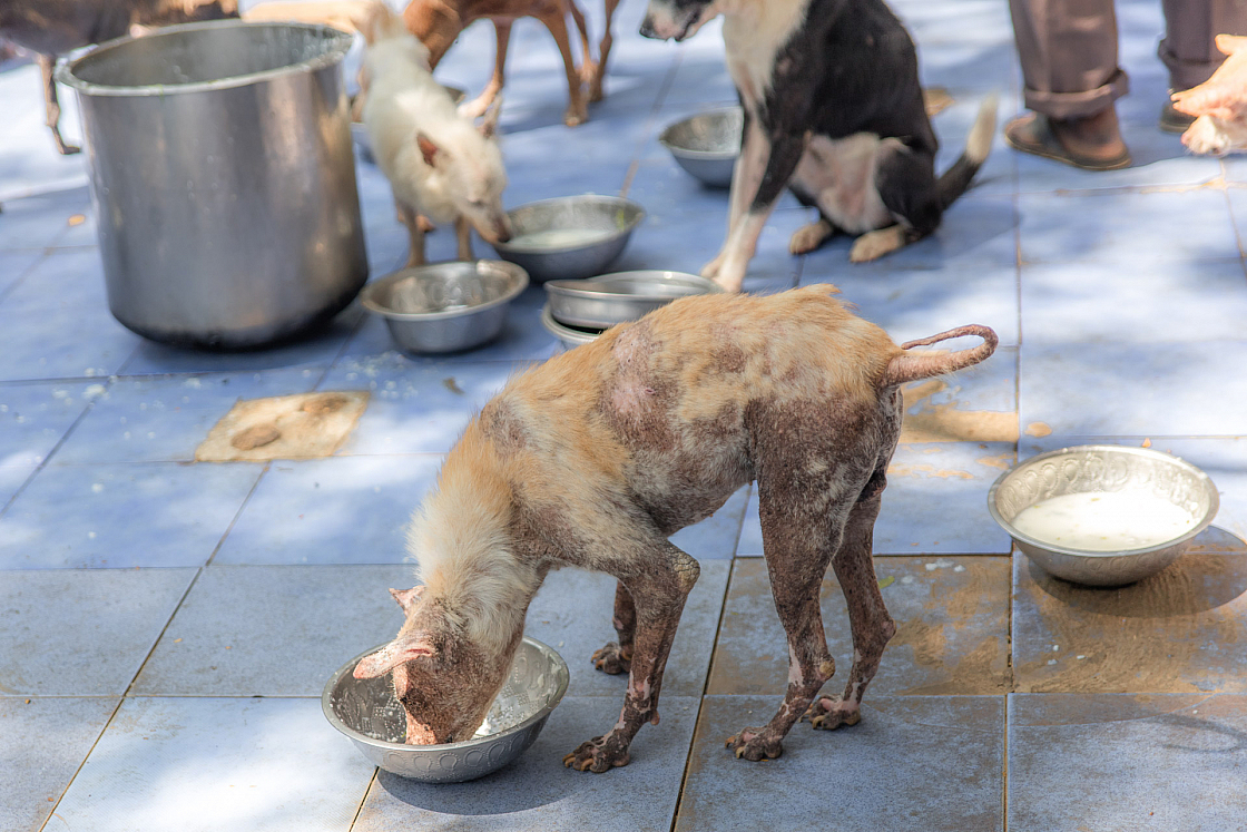 20160131122144 016927