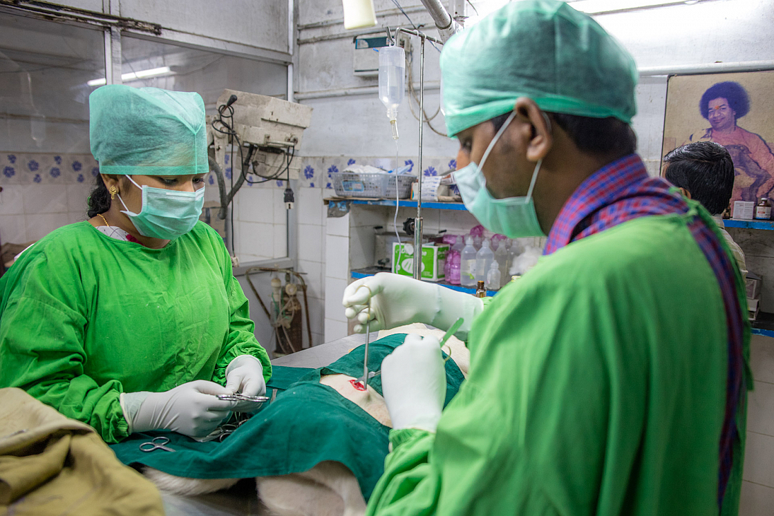 20160131122912 016956