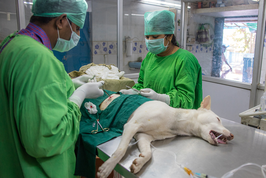 20160131122945 016974