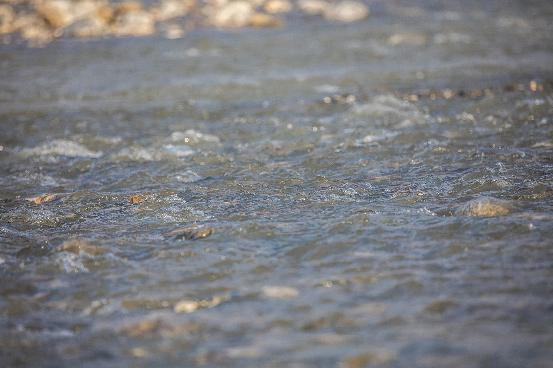 20161120163143 010390