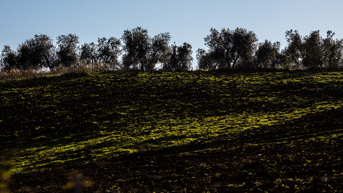 20161125161348 010782