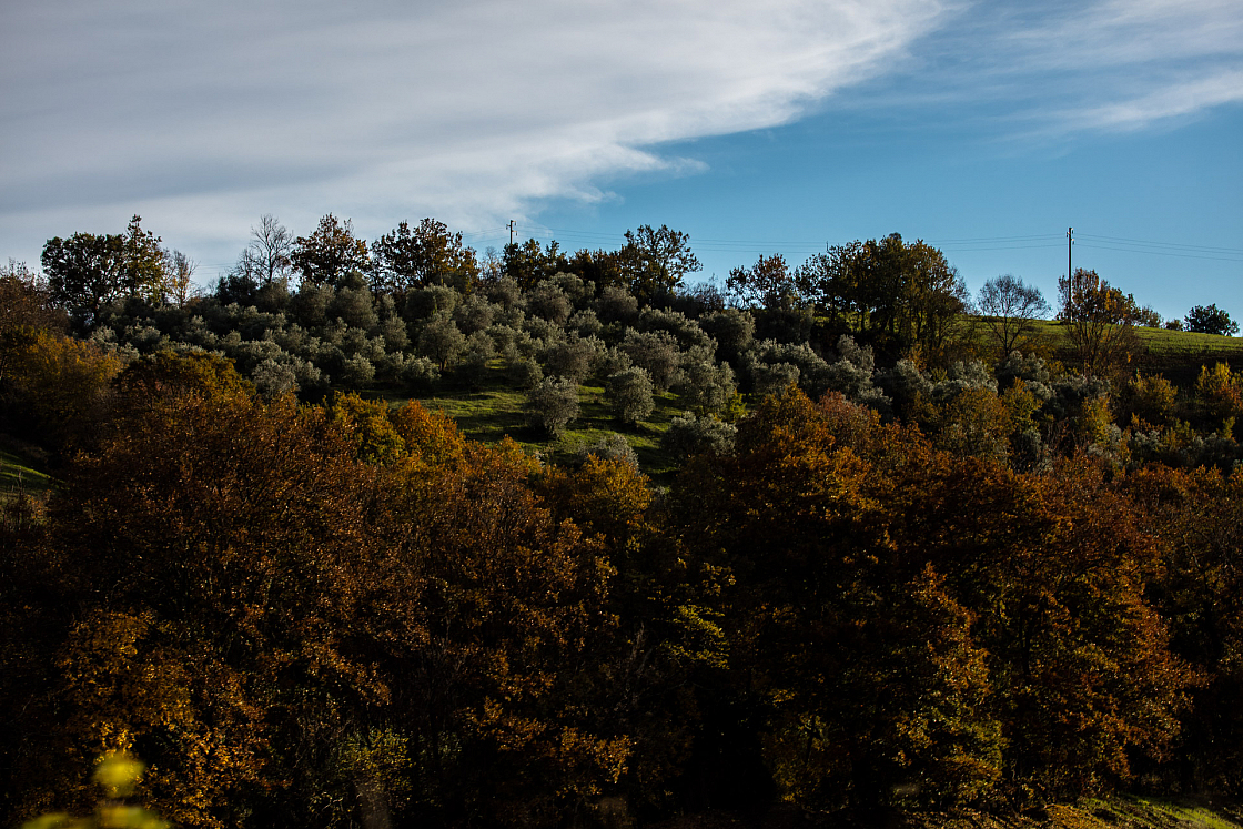 20161125161418 010786