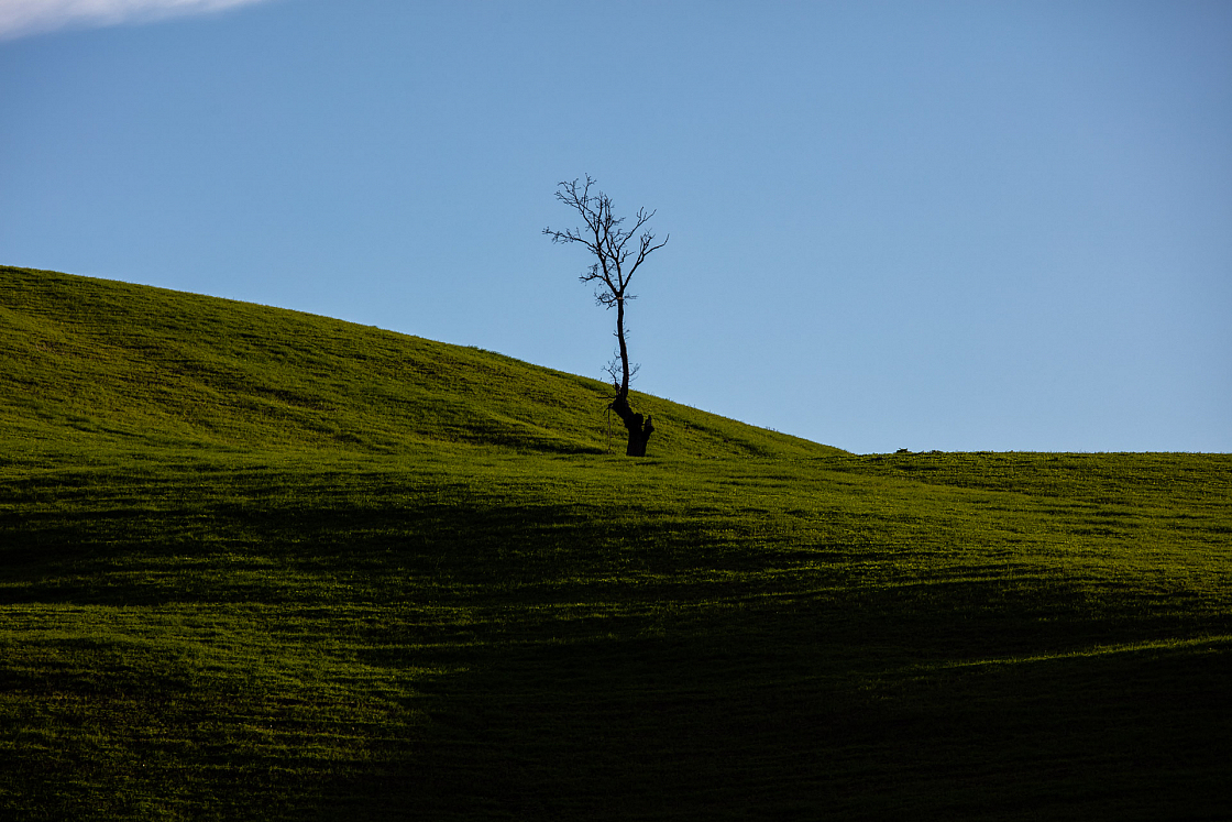 20161125161538 010798