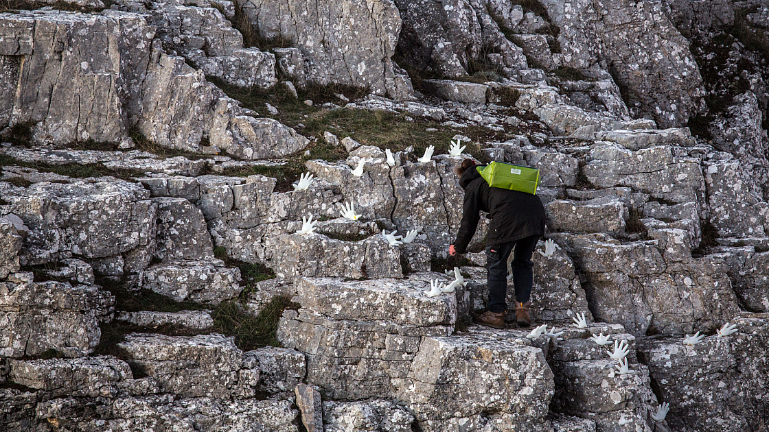 20161130165106 103068