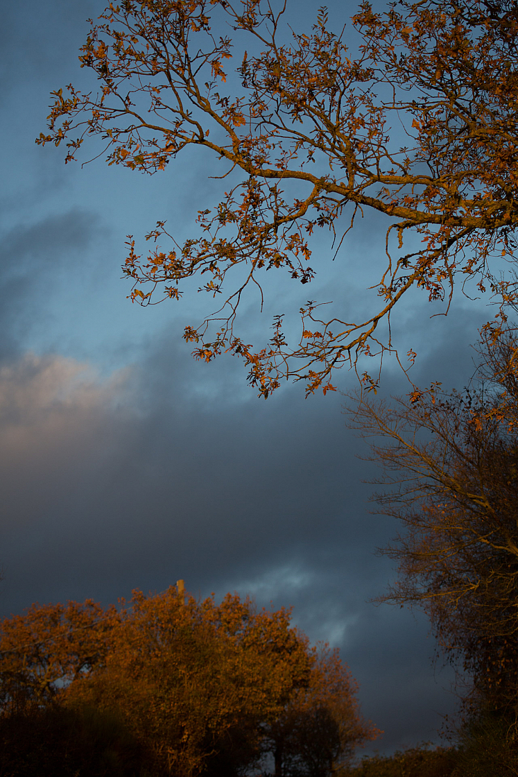 20161202162145 103245