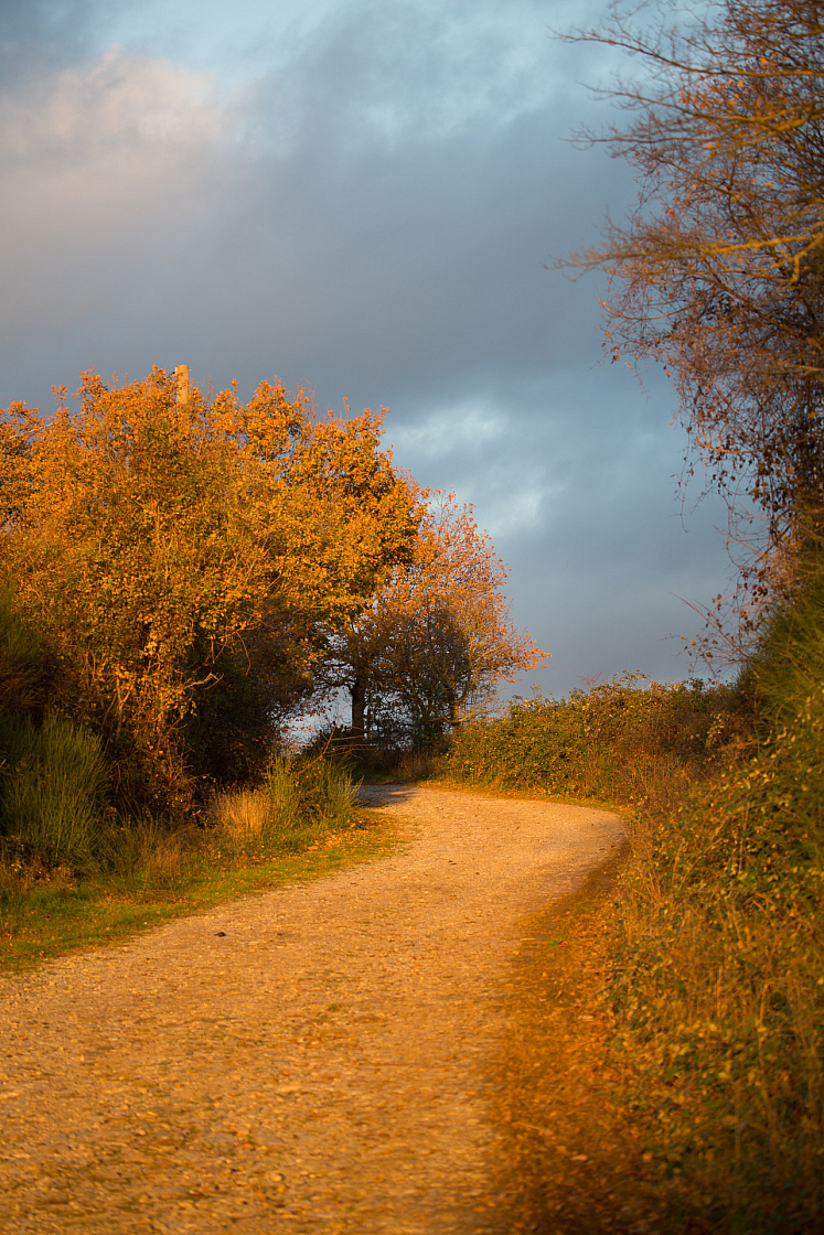 20161202162159 103247