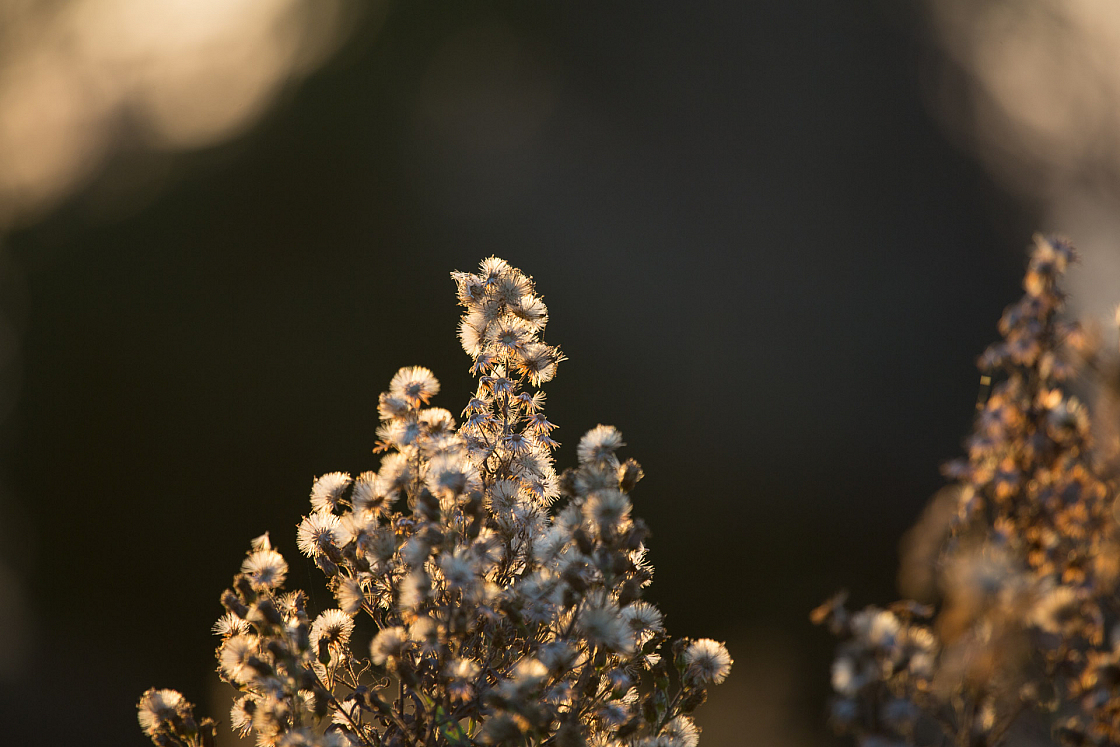 20161202162423 103260