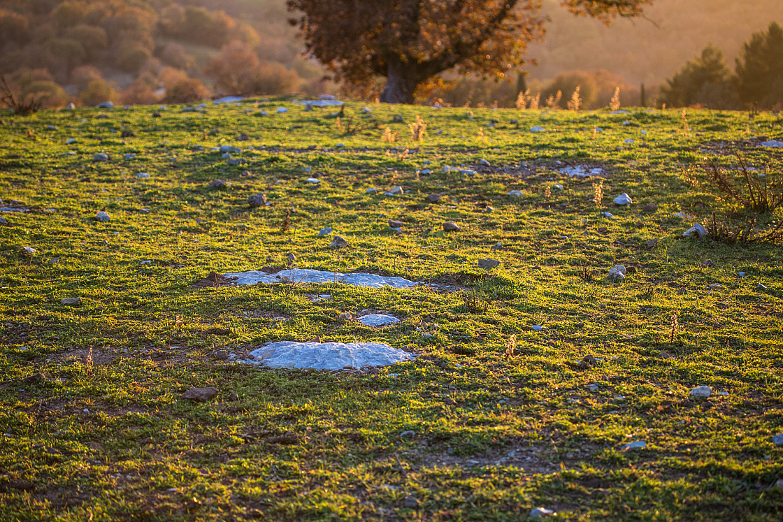 20161202162537 103264