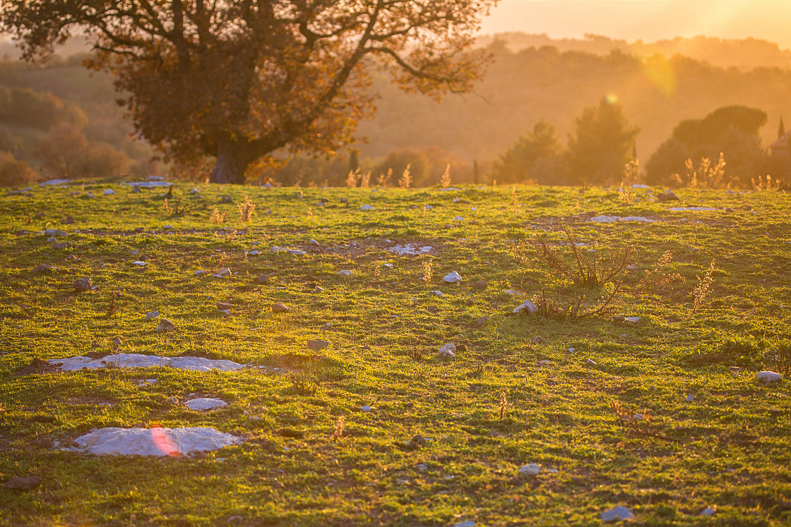 20161202162538 103265