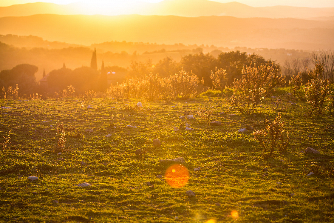 20161202162541 103266