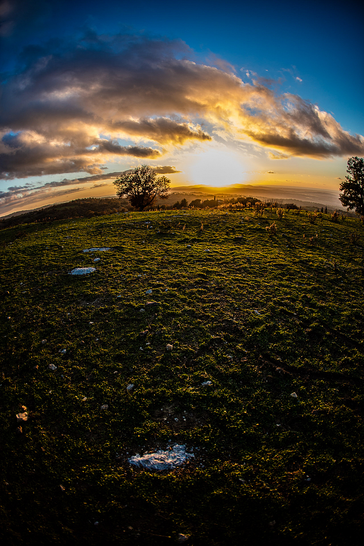 20161202162647 014354