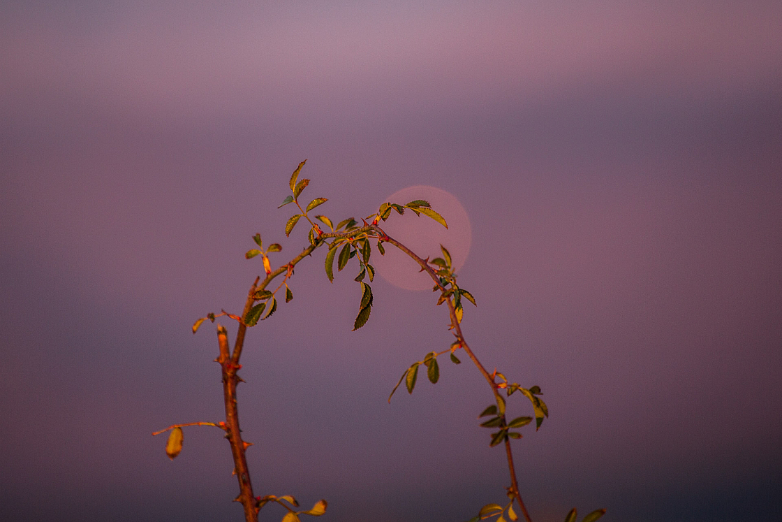 20161202163325 103268