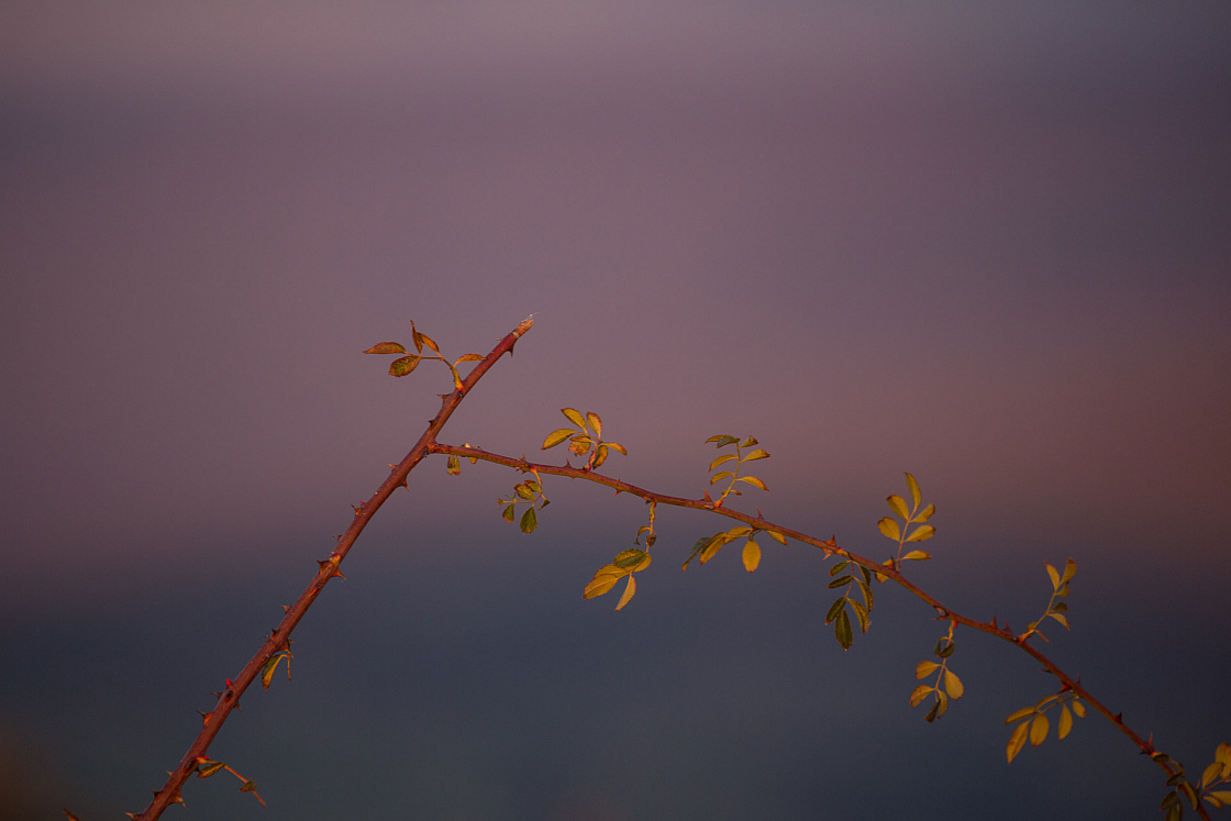 20161202163328 103270