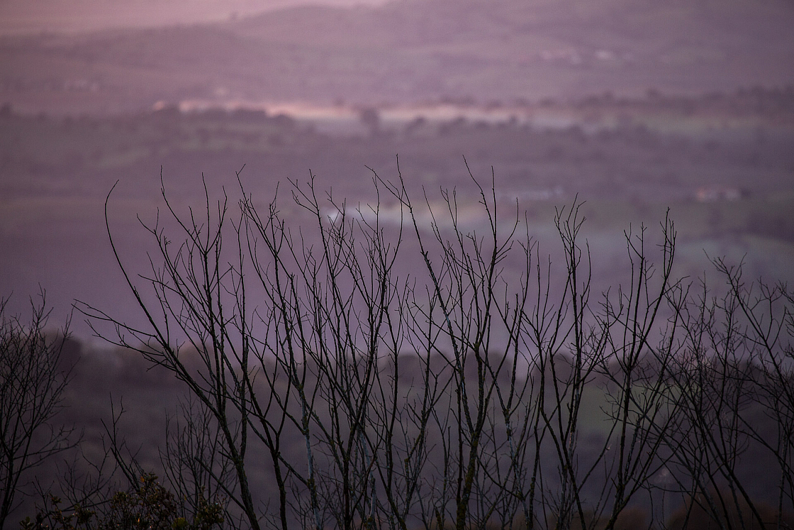 20161202163730 103298