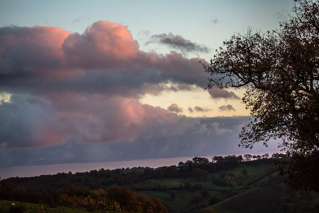 20161202163949 103312