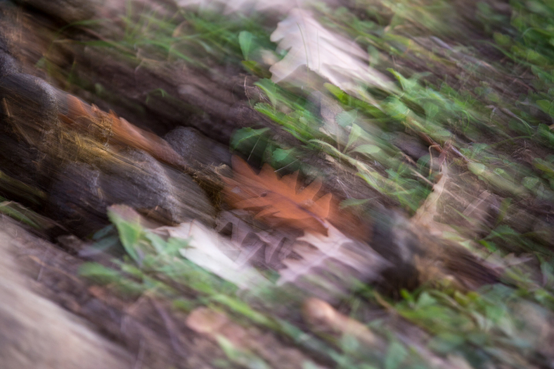 20161202165858 103441