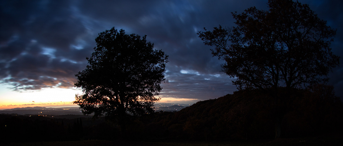 20161202173051 015218