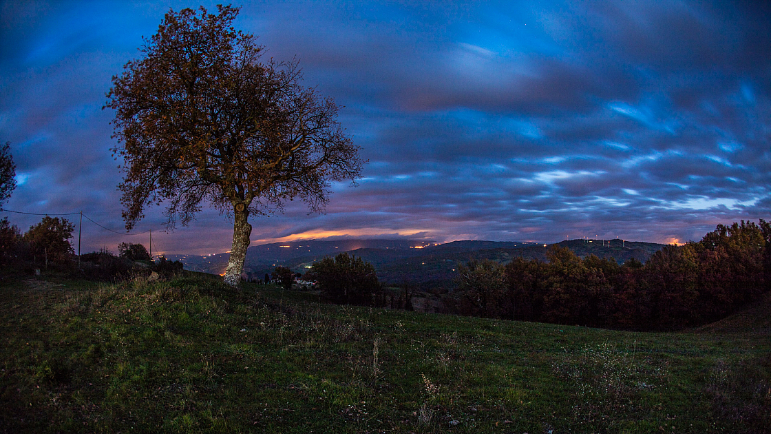 20161202173805 015231