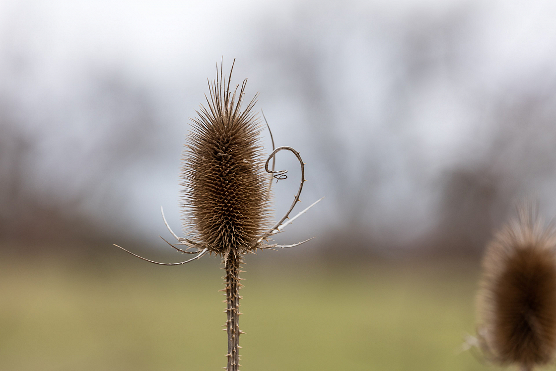 20160327171620 018271