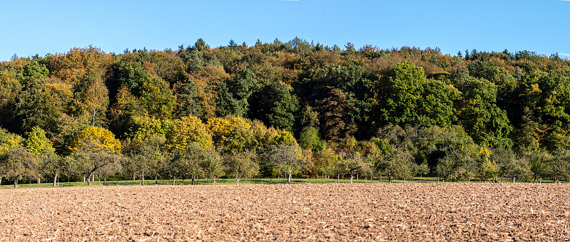 20161016171508 pano