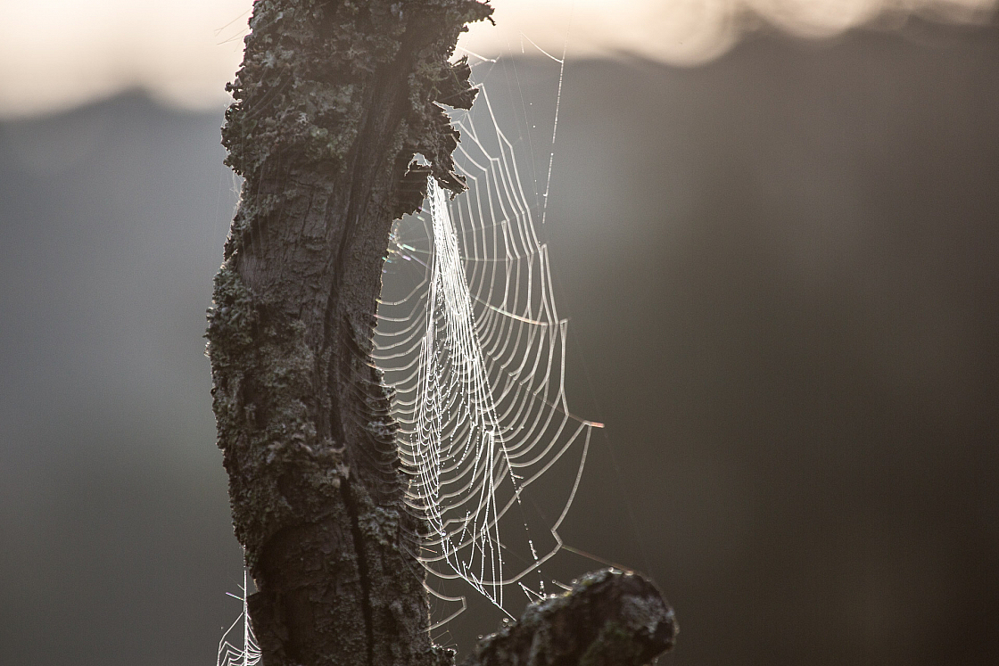 20161017090429 109786