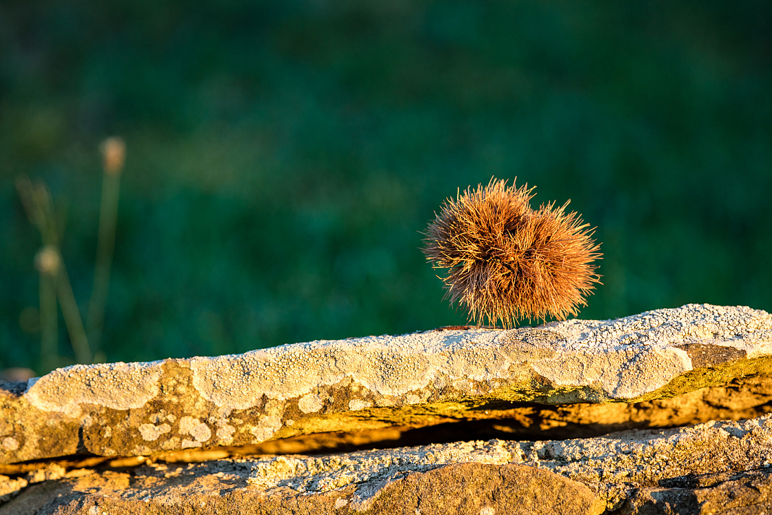 20160804200753 012320