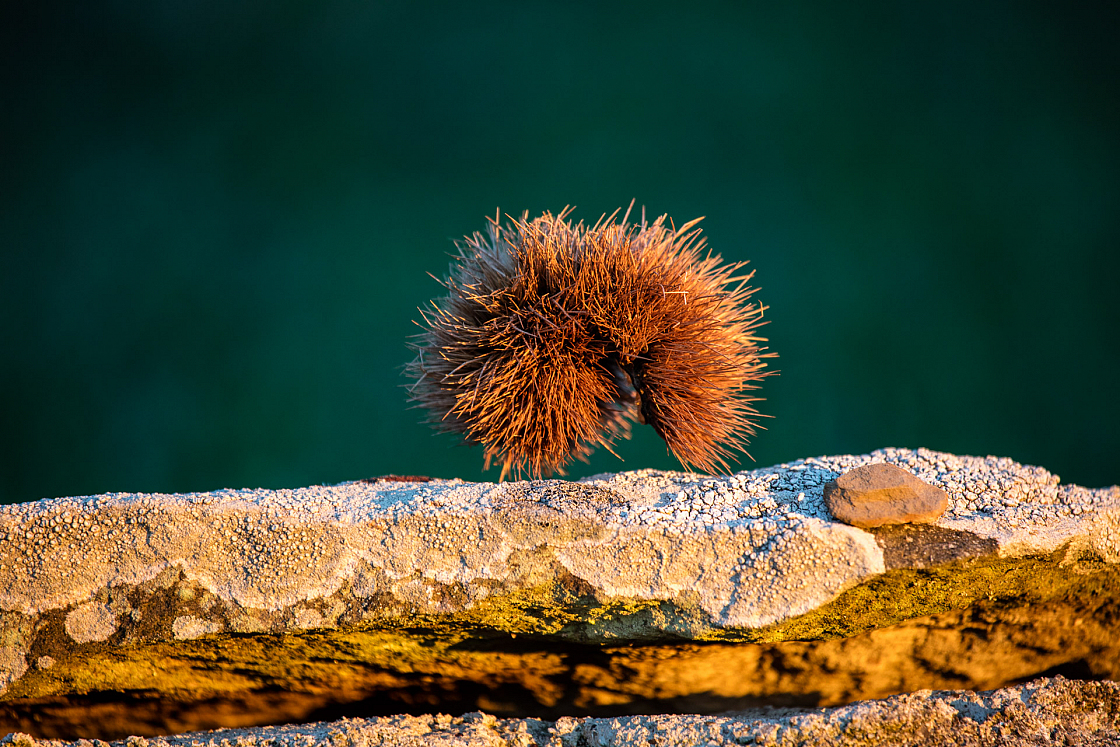 20160804201252 012375