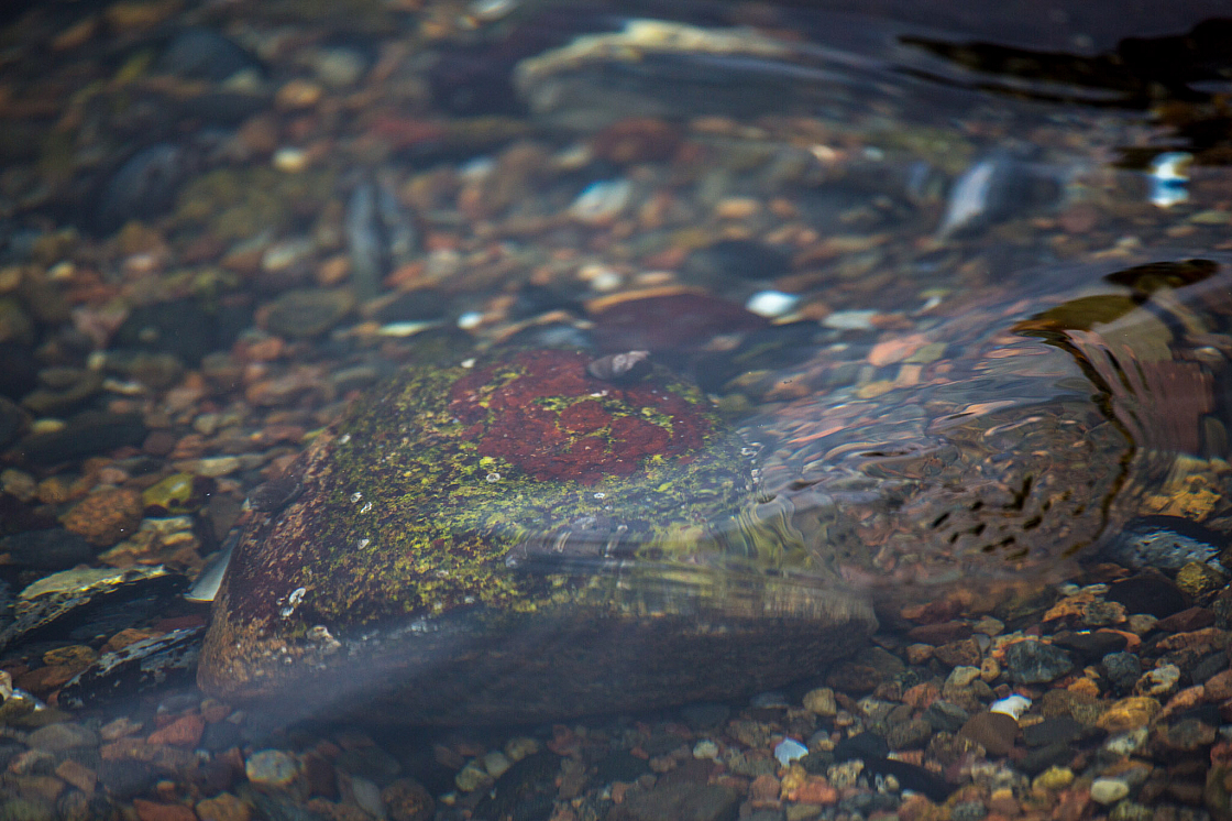 20170927131547 104773