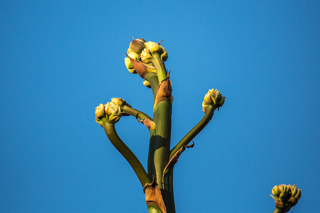 20170607200002 107779