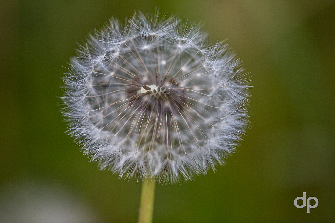 20170512082855 104231
