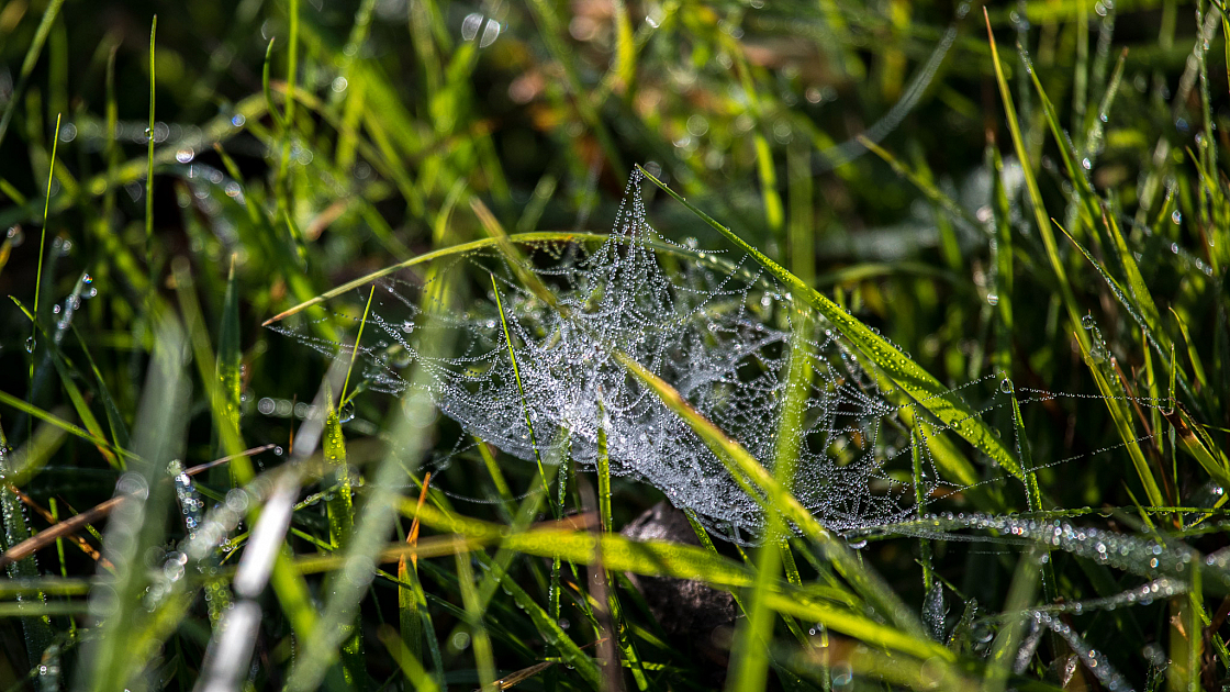 20171015104844 5418
