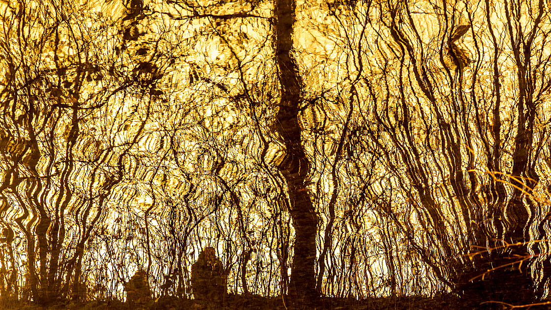 20181226145811 7342-2