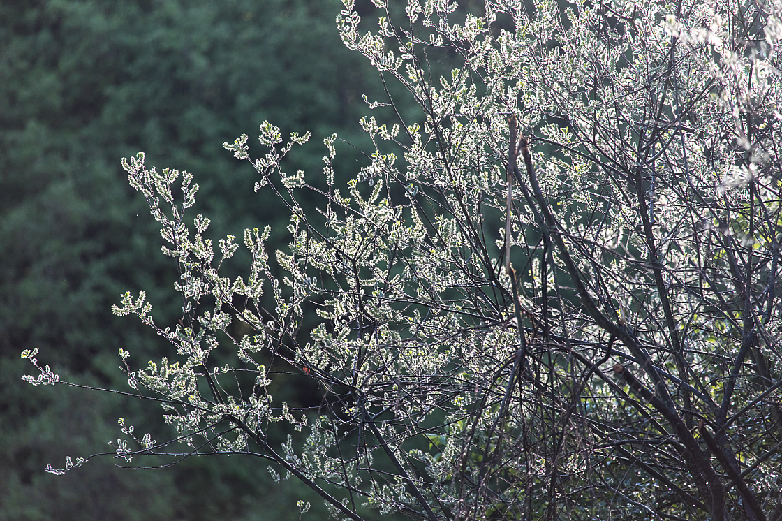 20180426075042 2617