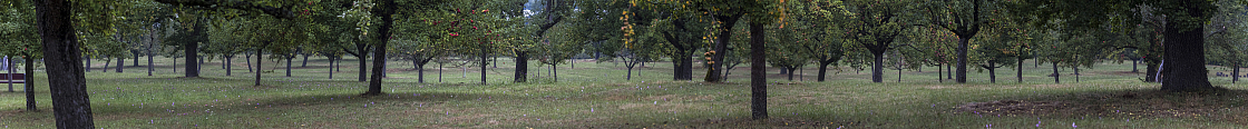 20180902130324 pano