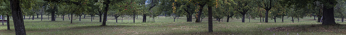 20180902130324 pano