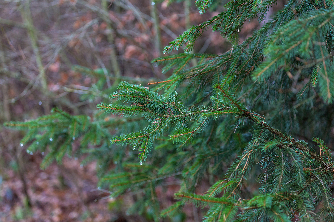 20181227153637 107369