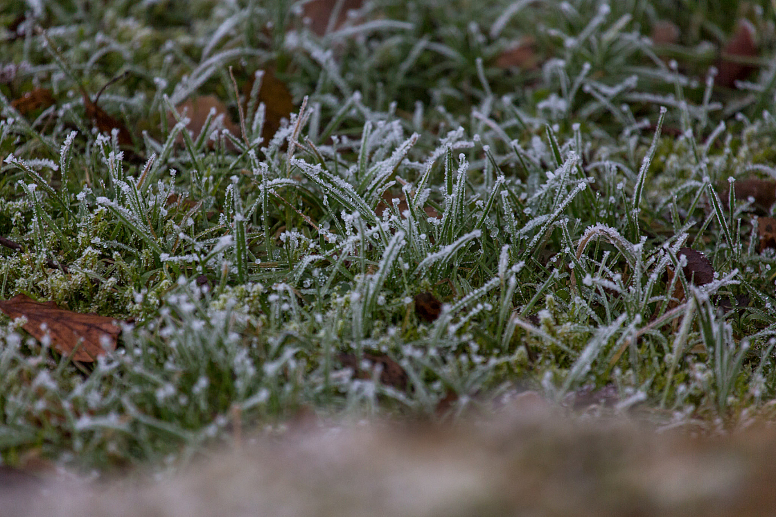 20181227154058 107403