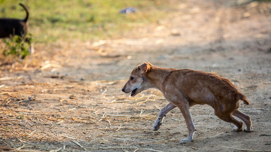 20180131172134 018518