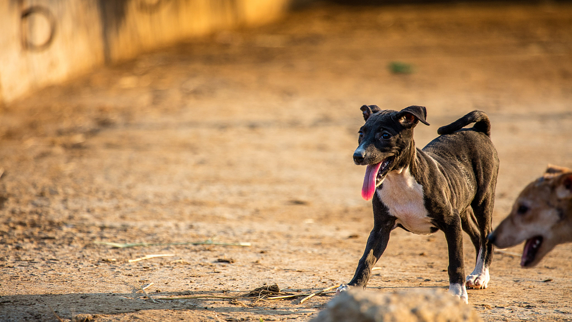 20180131172136 018520