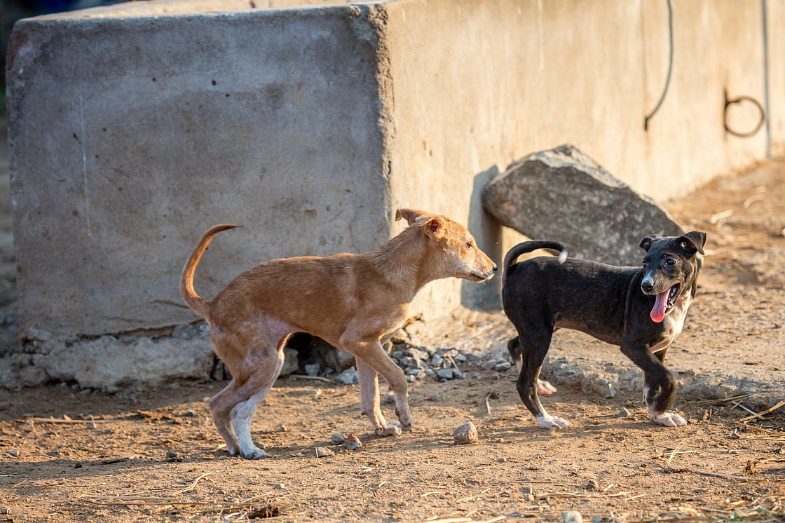 20180131172200 018536