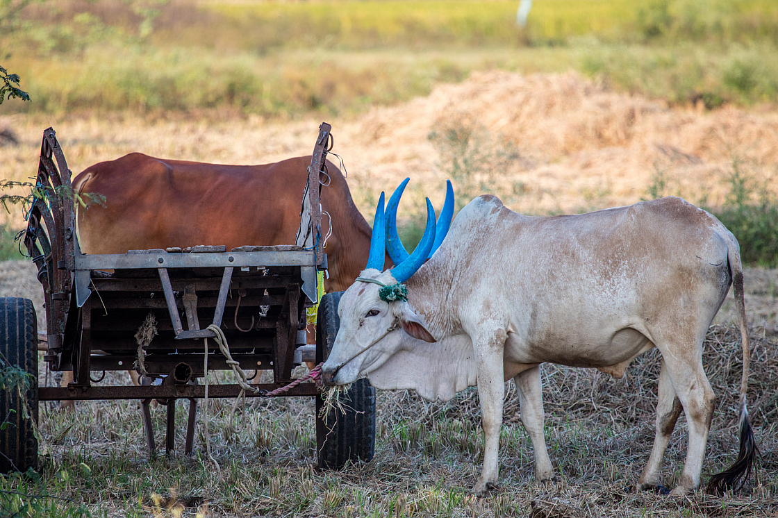 20180131172220 018546