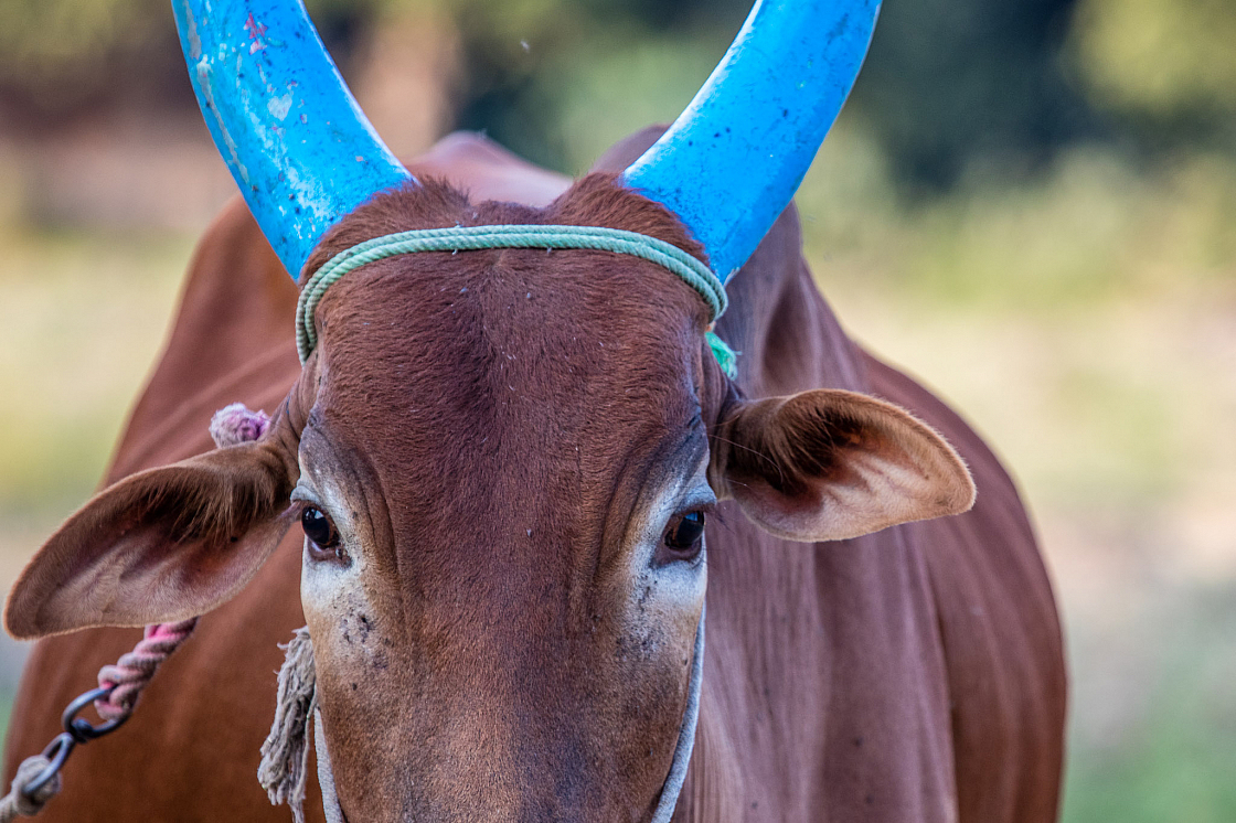 20180131172805 018598