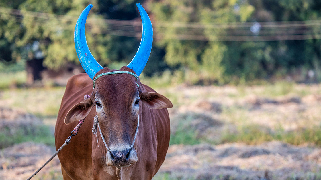 20180131172808 018605