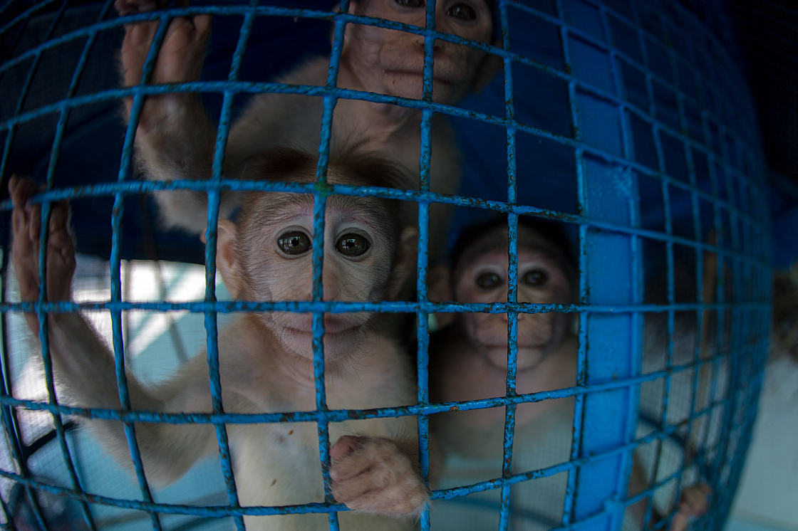 20180131095750 017826